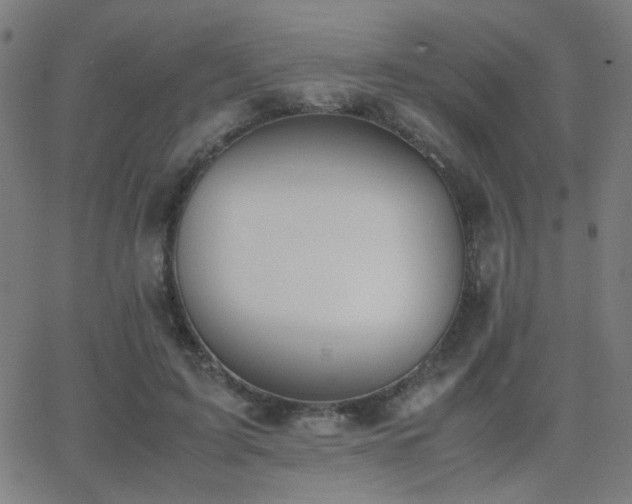 X0000062850595200601131352