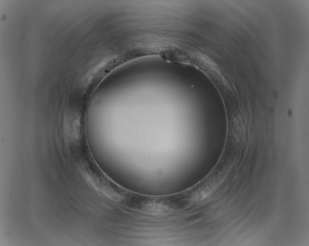 X0000062850596200601131352