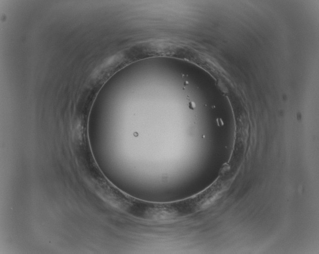 X0000062850597200601131352