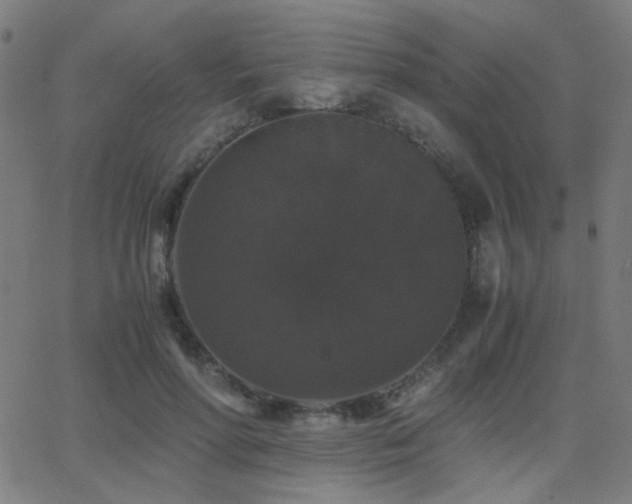 X0000062850598200601131352