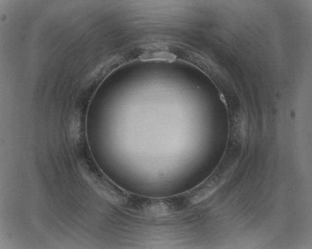 X0000062850600200601131352