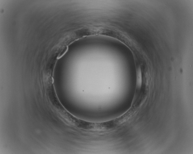 X0000062850601200601131352