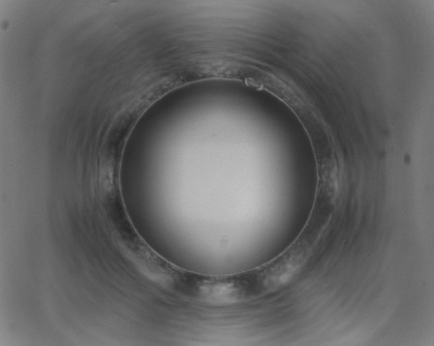 X0000062850602200601131351