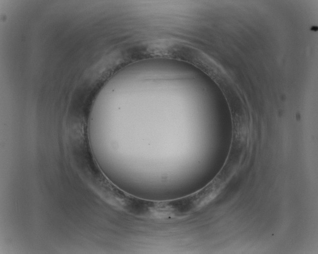 X0000062850603200601131351