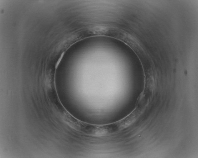 X0000062850604200601131351