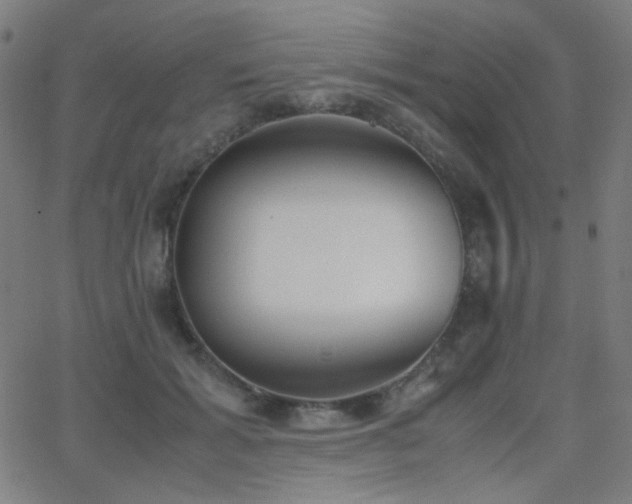 X0000062850605200601131351