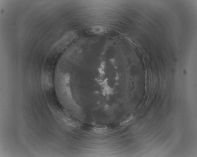 X0000062850606200601131351