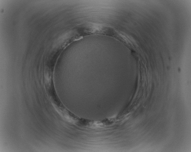 X0000062850607200601131351