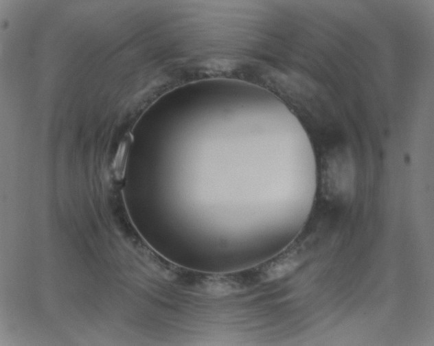 X0000062850608200601131351