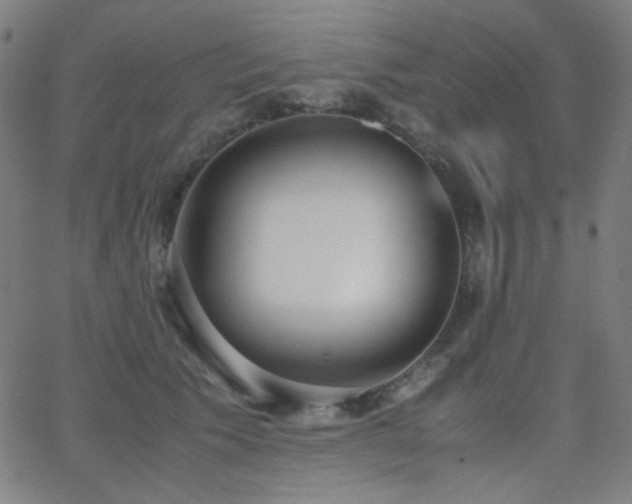 X0000062850609200601131351