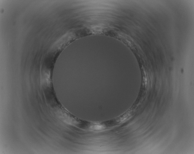 X0000062850610200601131351