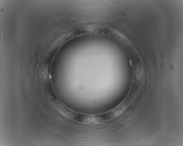 X0000062850611200601131351