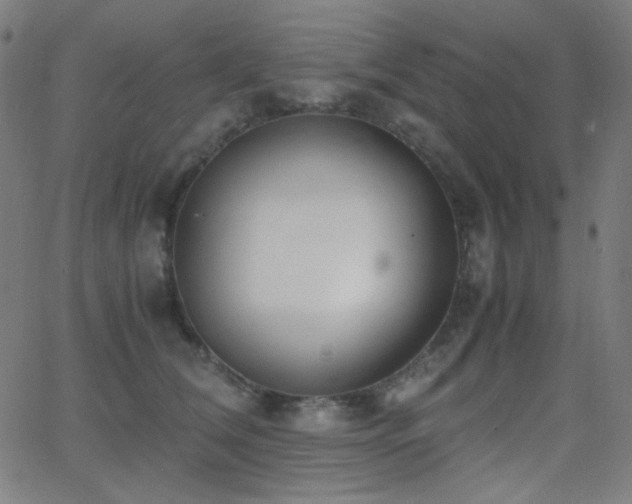 X0000062850612200601131351