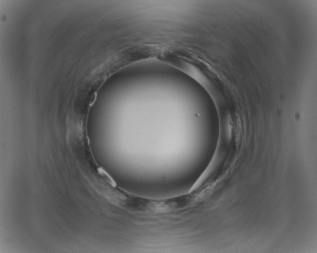 X0000062850613200601131351