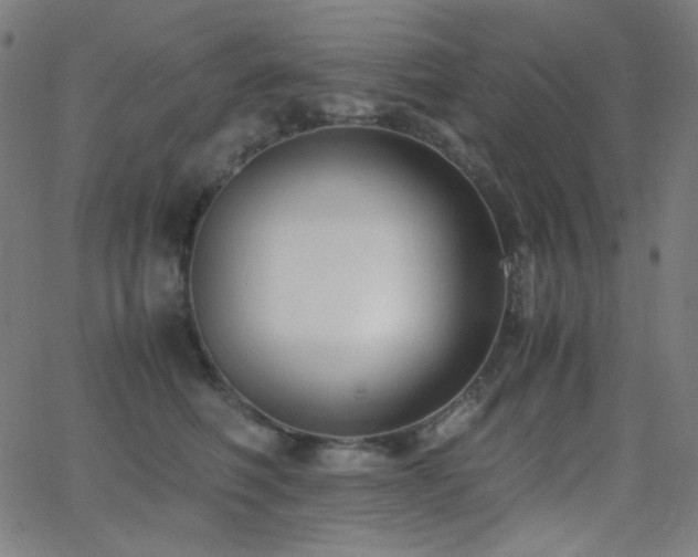 X0000062850614200601131351