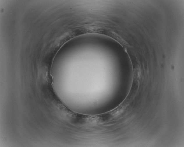 X0000062850615200601131351