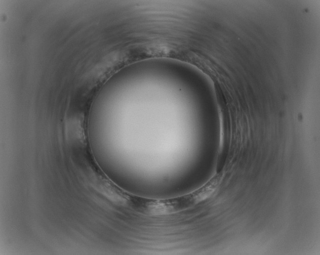 X0000062850616200601131351