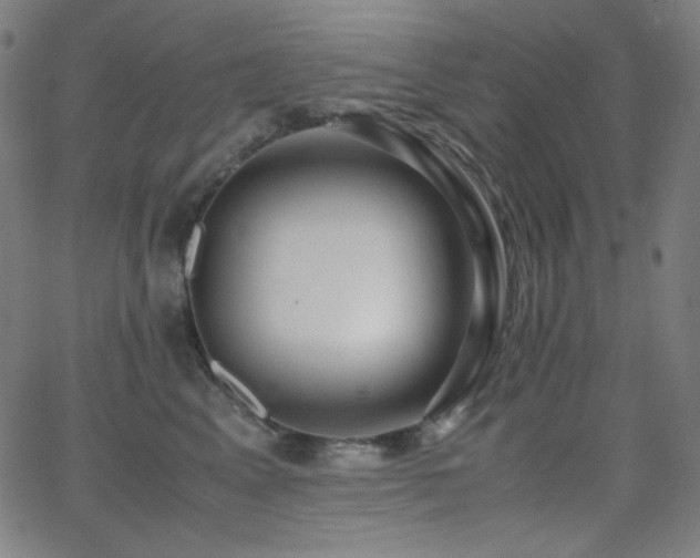 X0000062850617200601131351