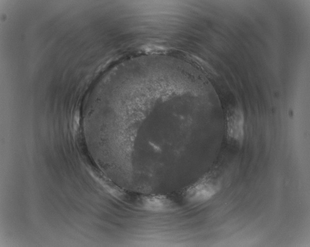 X0000062850618200601131351