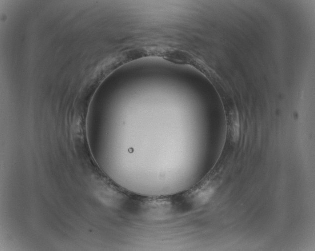 X0000062850619200601131351