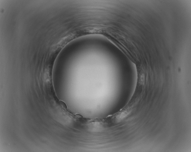 X0000062850620200601131351