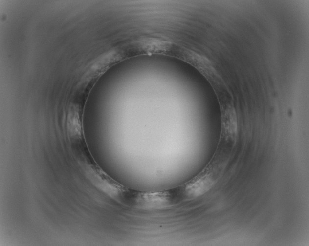 X0000062850622200601131351