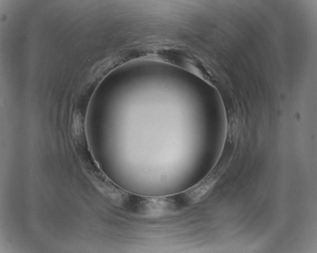 X0000062850623200601131351