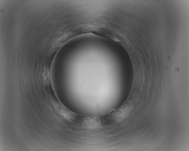 X0000062850624200601131351