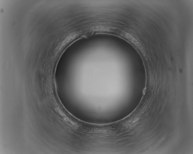 X0000062850625200601131350