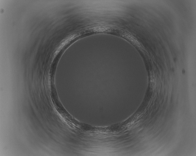 X0000062850626200601131350