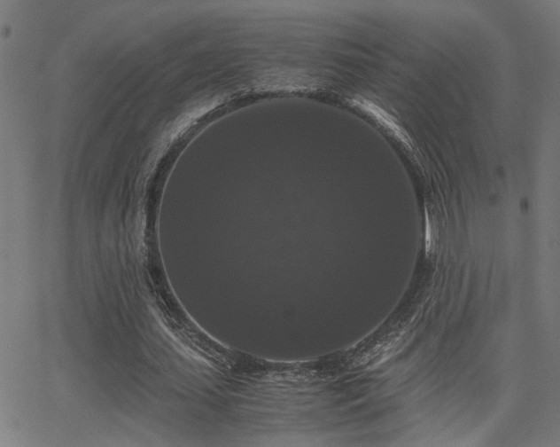 X0000062850627200601131350