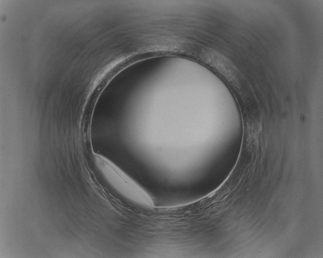 X0000062850628200601131350