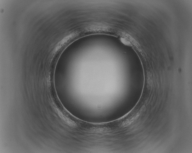 X0000062850629200601131350