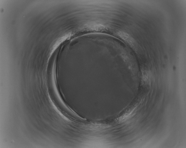 X0000062850630200601131350