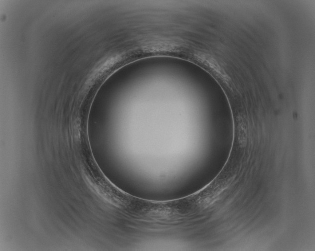 X0000062850631200601131350