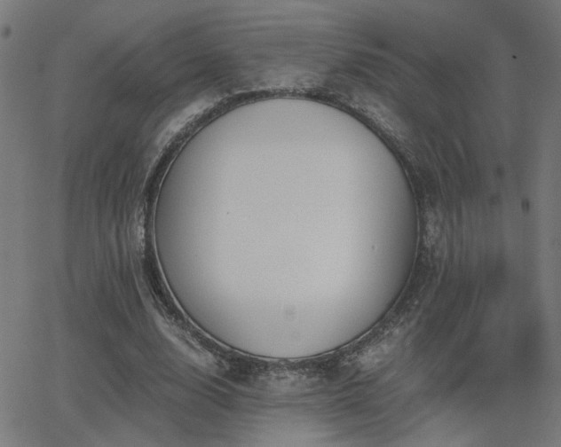 X0000062850632200601131350