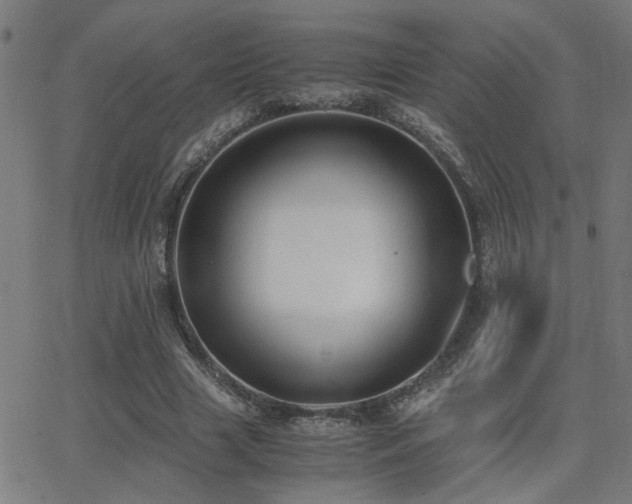 X0000062850633200601131350