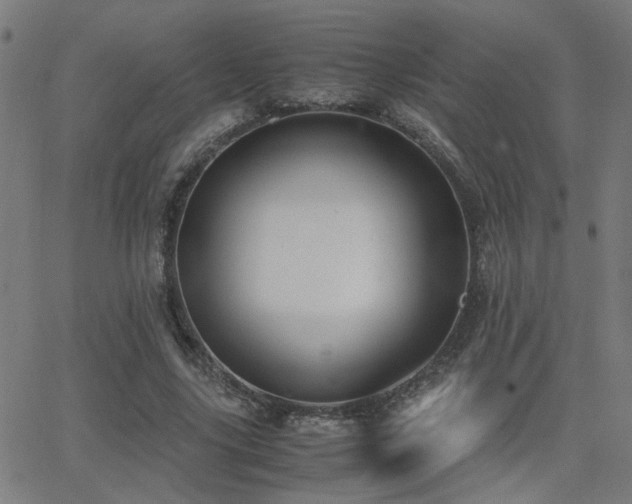 X0000062850635200601131351