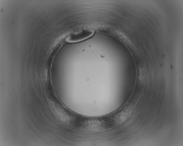 X0000062850636200601131351