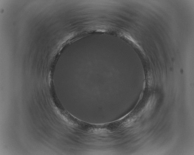 X0000062850637200601131351