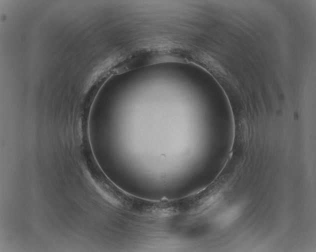 X0000062850638200601131351