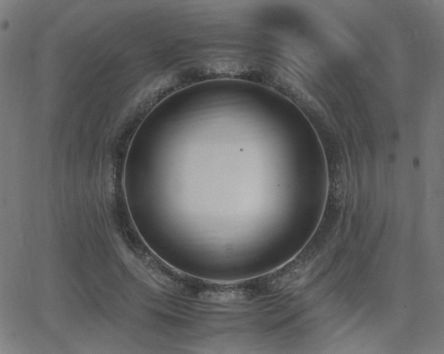 X0000062850639200601131351