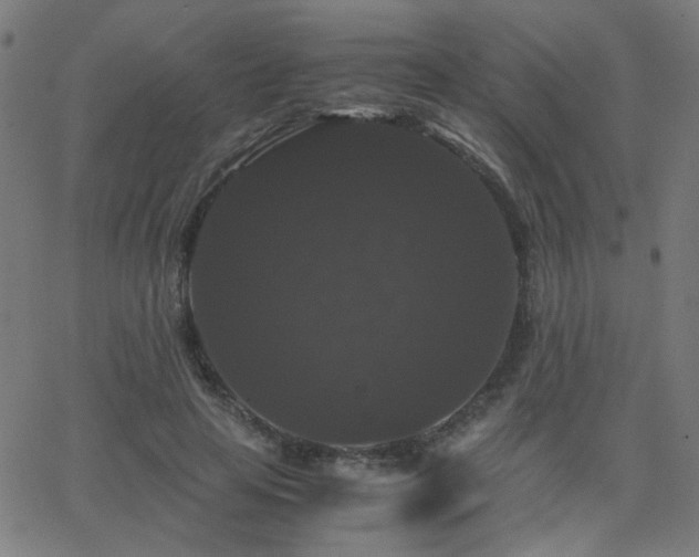 X0000062850641200601131351