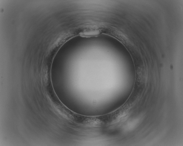 X0000062850642200601131351