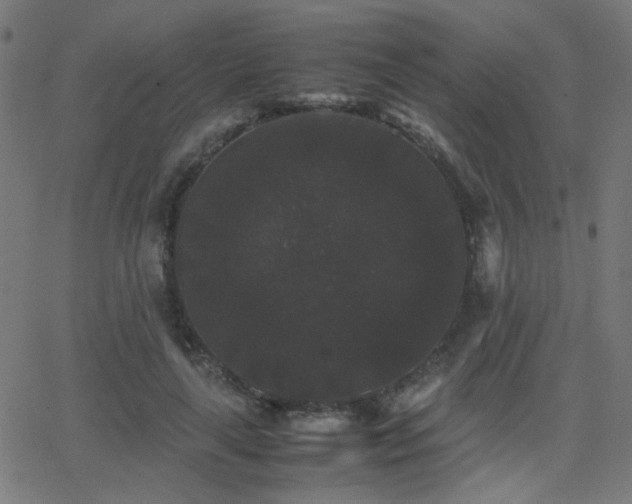 X0000062850643200601131351