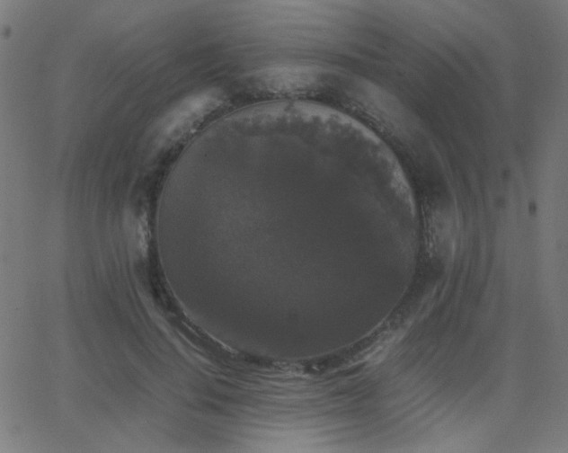 X0000062850644200601131351