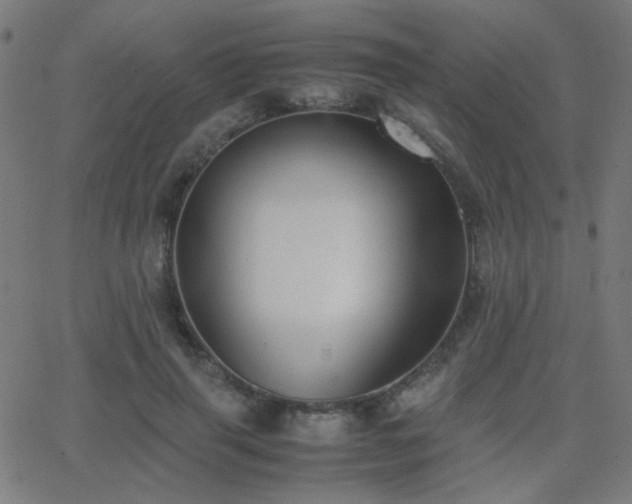 X0000062850645200601131351