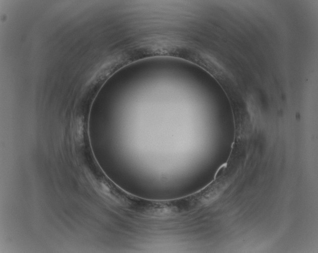 X0000062850646200601131351