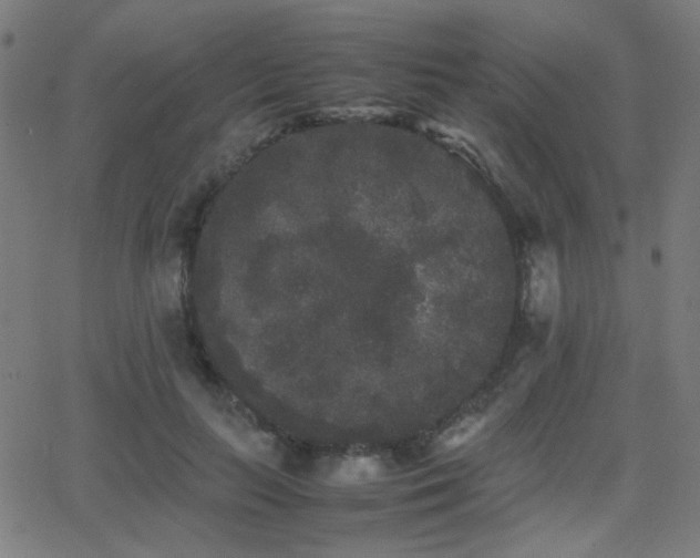 X0000062850647200601131351