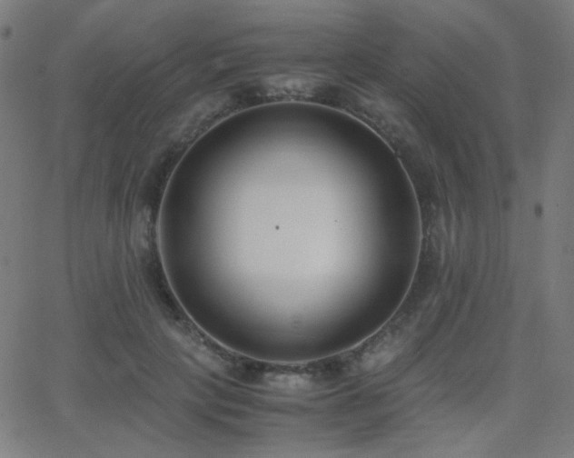 X0000062850649200601131351